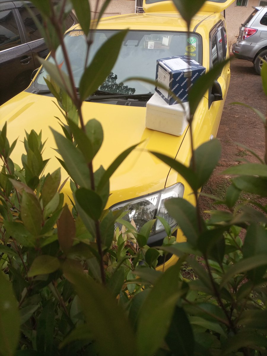 mutasaaga Benjamin ll tweet media