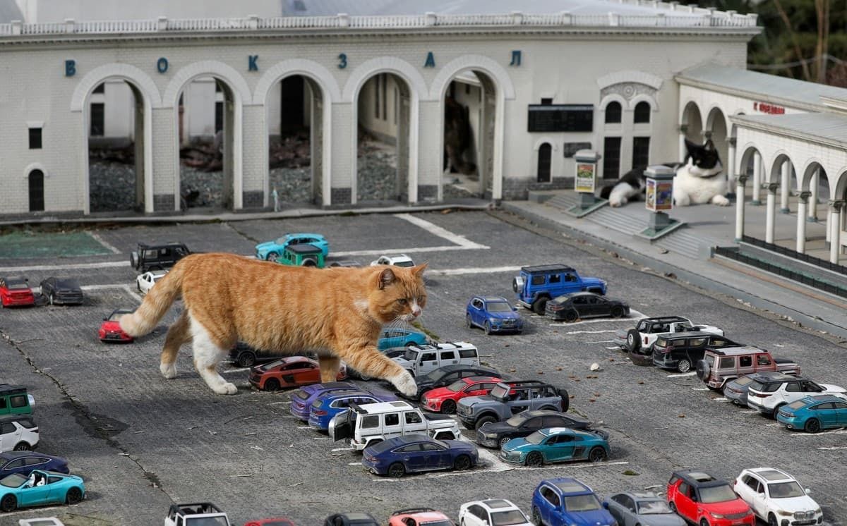 Diego Rottman tweet media