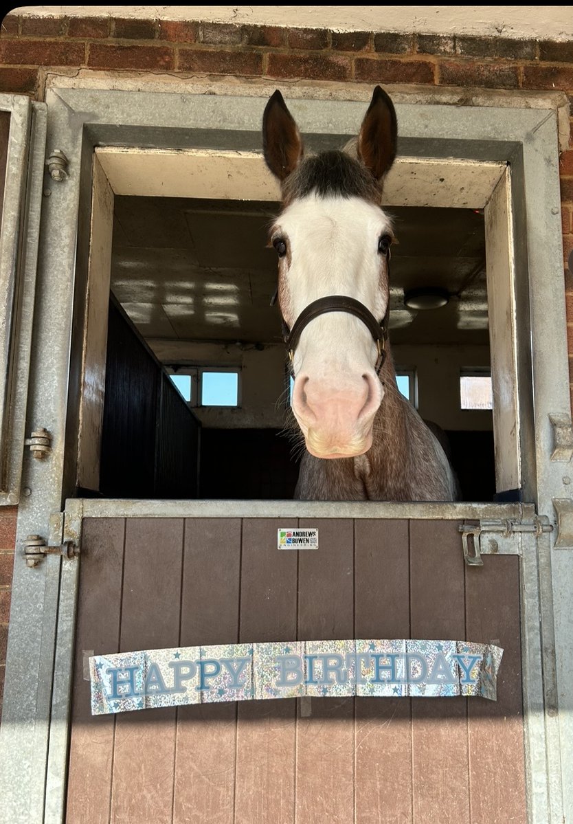 Mer Pol Mounted tweet media