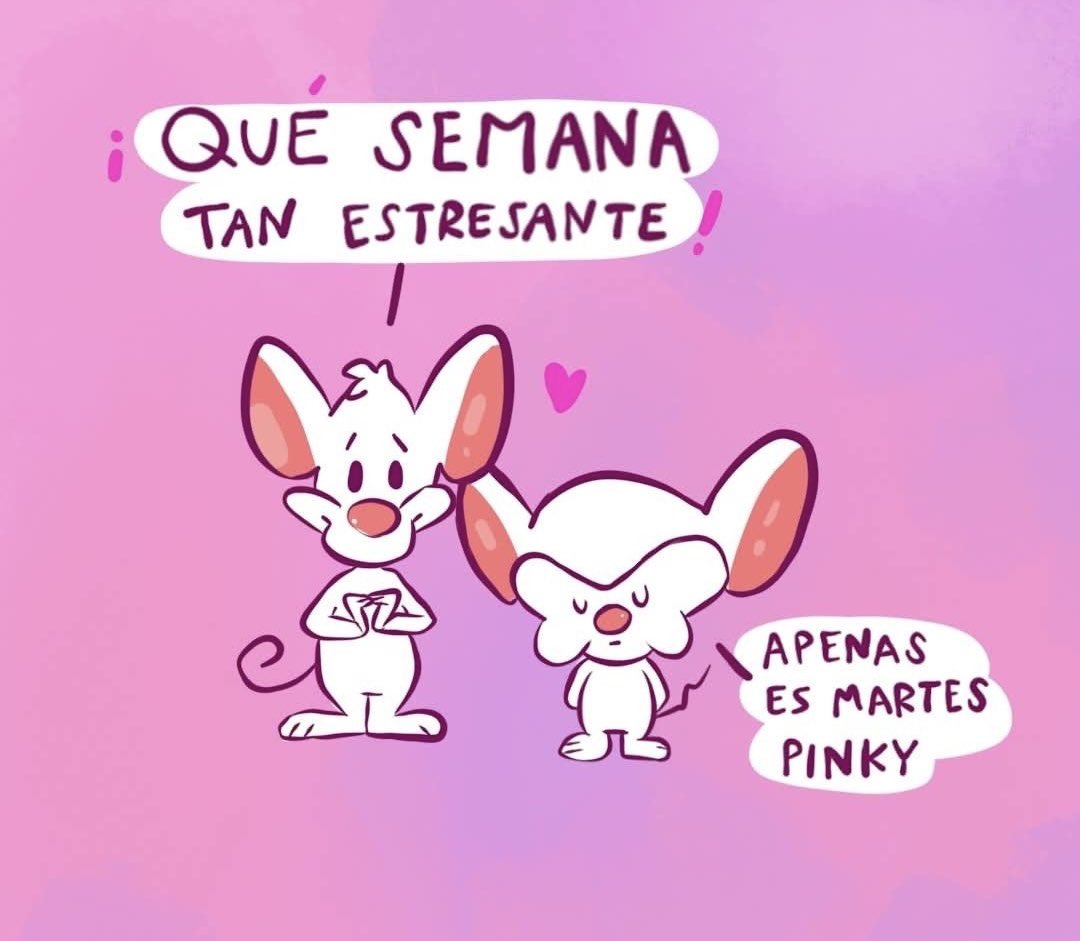 tapatiainefable's tweet photo. Buenos días!
Ya está el café ☕️ https://t.co/Ac4jzNZNqQ