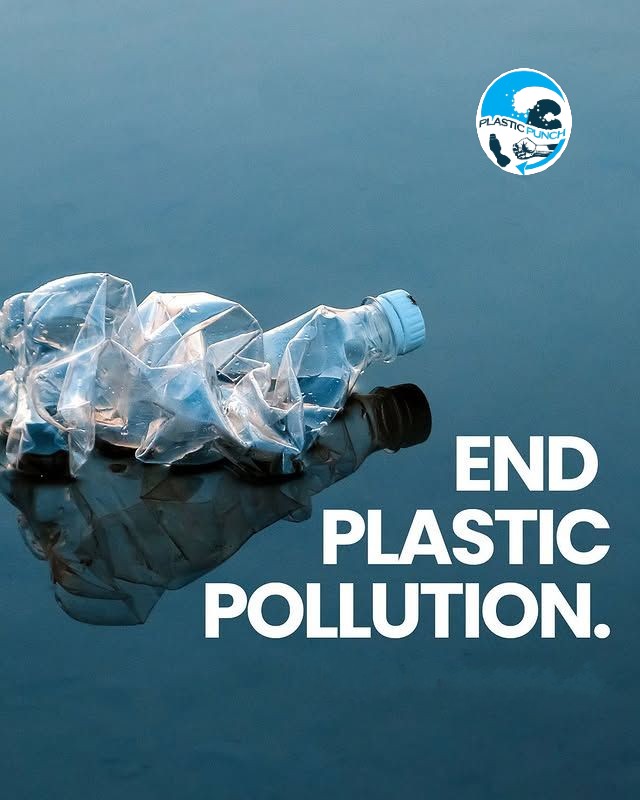 #PLASTICPUNCH tweet media