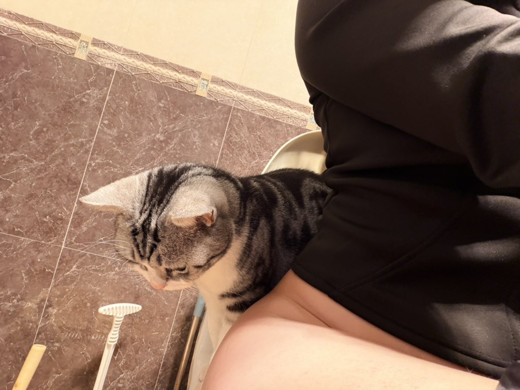 摘月亮 tweet media