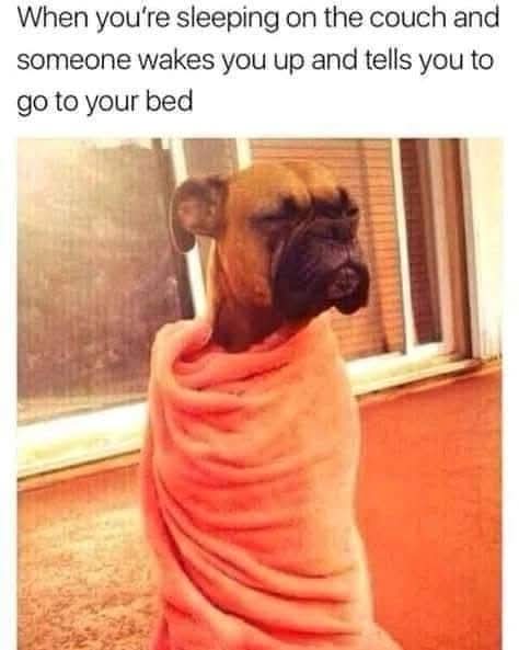 Richard Vertorano tweet media