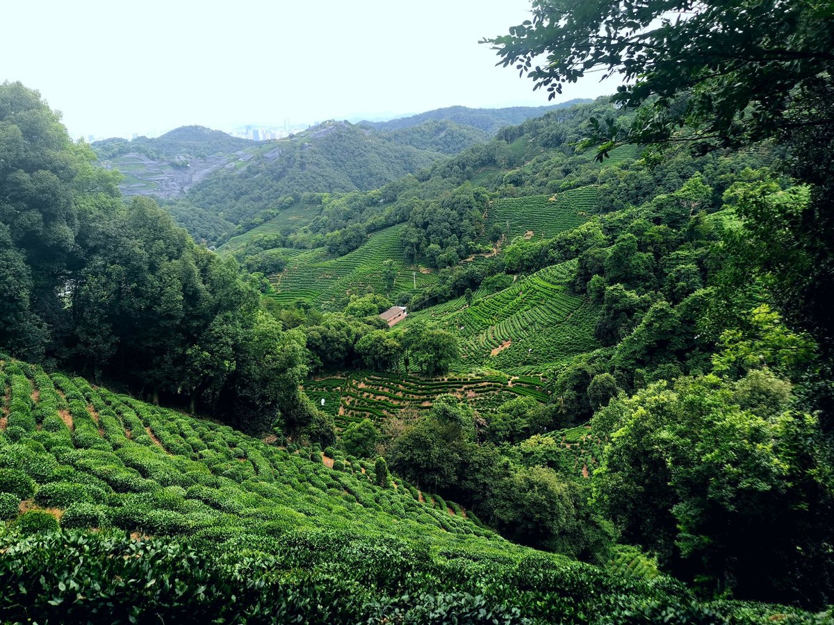 MarkctMeasrto tweet media