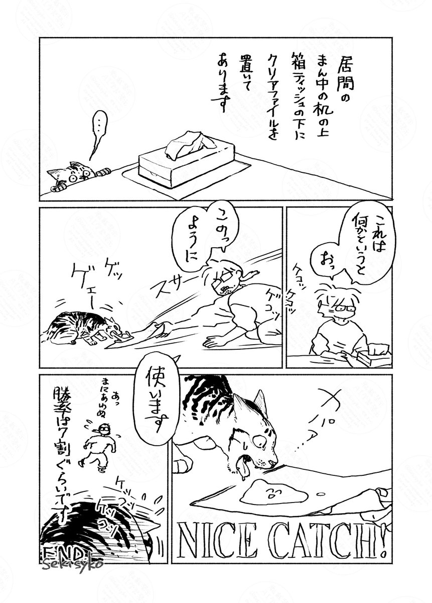 雑日記(左手)
猫は生理現象として毛繕い時に飲み込んだ体毛を吐くというやつです
なぜ奴らはフローリング個所で吐かずにラグとか座布団とかの上で吐くのか。我々はその秘密を探るためにメキシコの砂漠地帯に潜入した。いやしない 