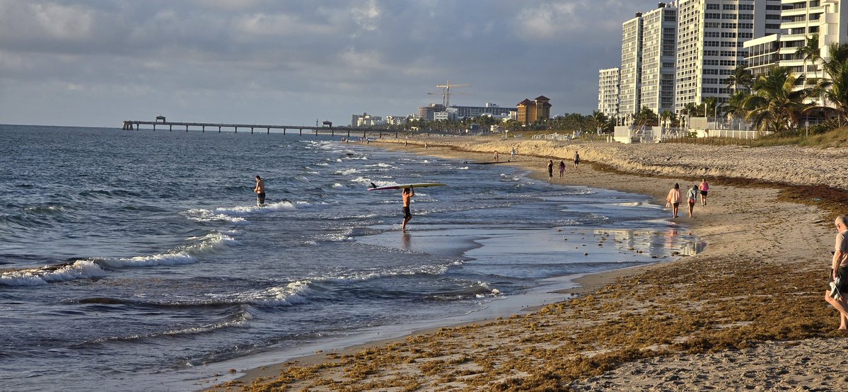 Dave Noderer tweet media