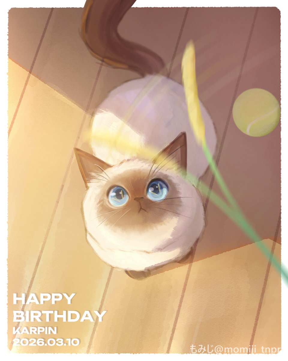 もみじ🍁 tweet media