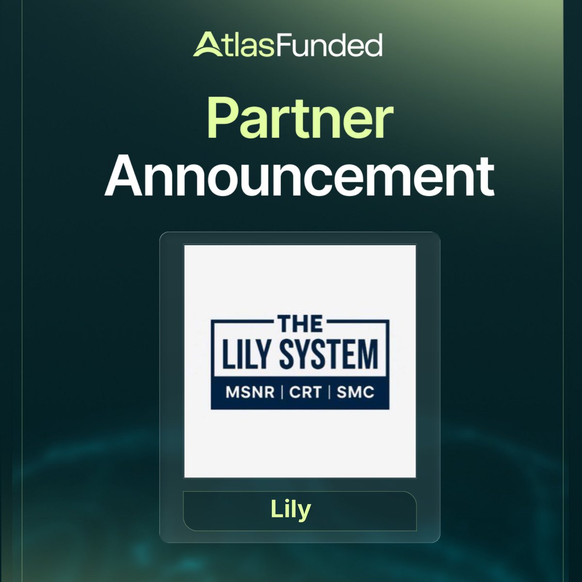 Lily 📊🐐 tweet media