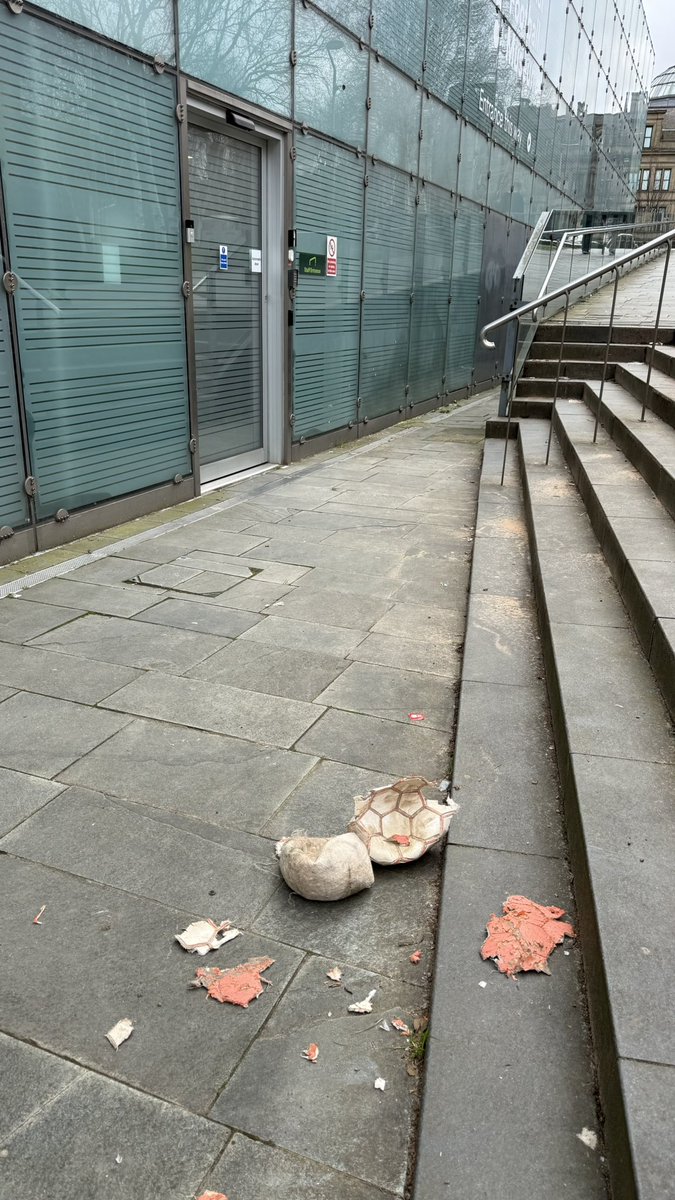 Jonathan Schofield tweet media