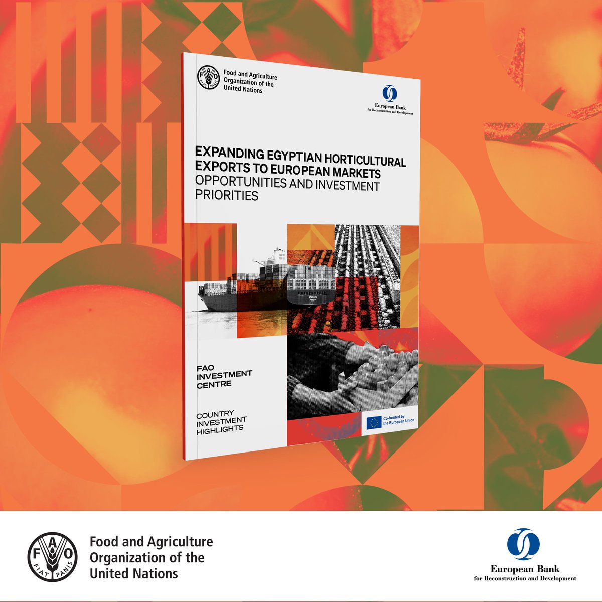 FAO Investment Support tweet media