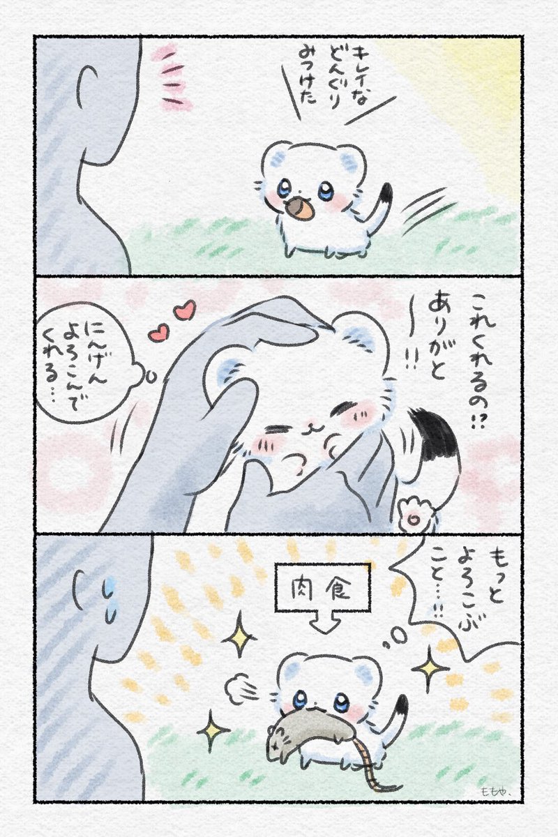 ももや｜おこさまおこじょ tweet media