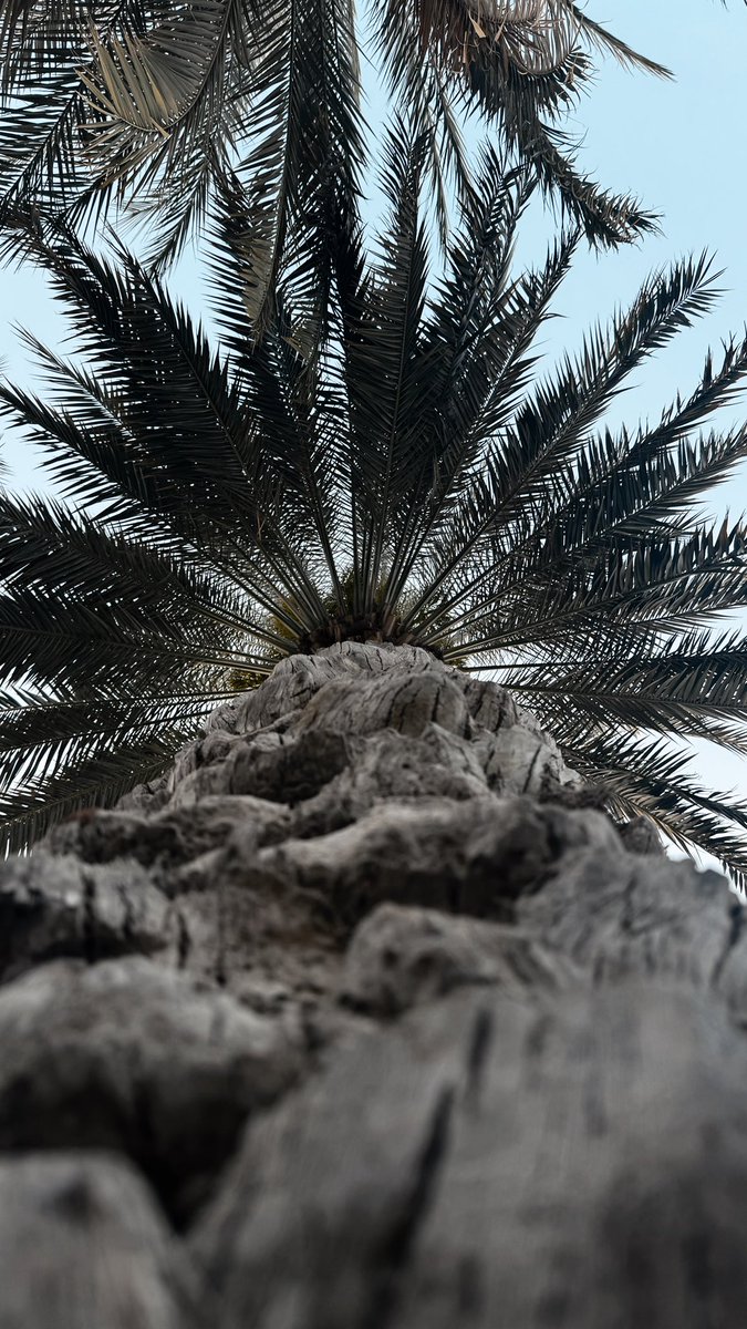 سـواد🕊️🖤 tweet media