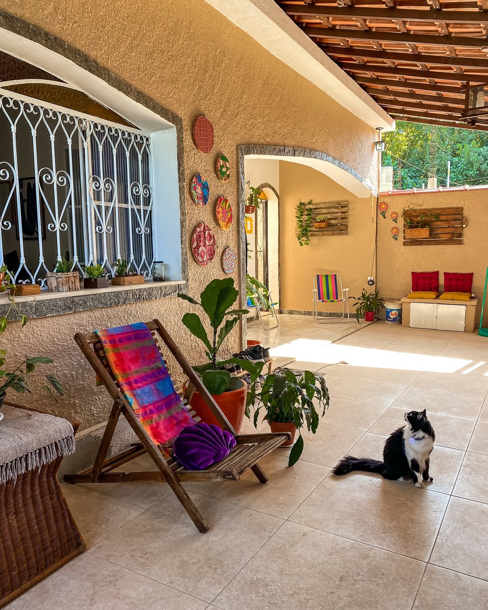 A vida podia ser só isso. 
Um cantinho.
Um gato.
E paz.

Eu seria feliz nessa varanda. 🏠🐱🤍