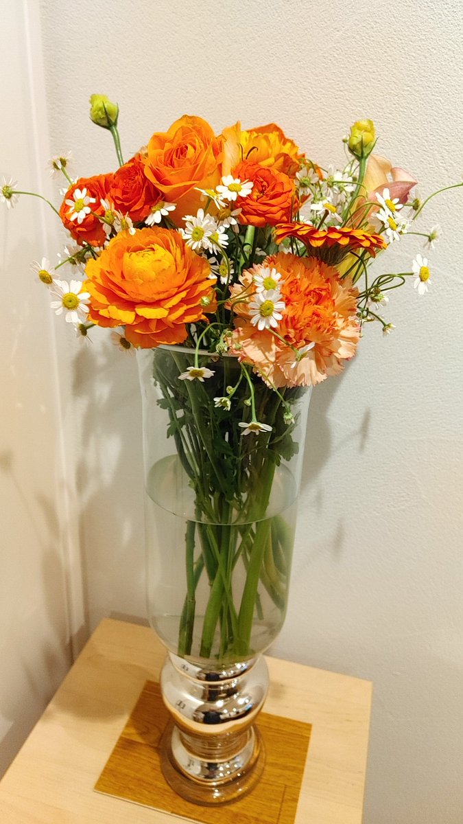 岡 雅史 tweet media
