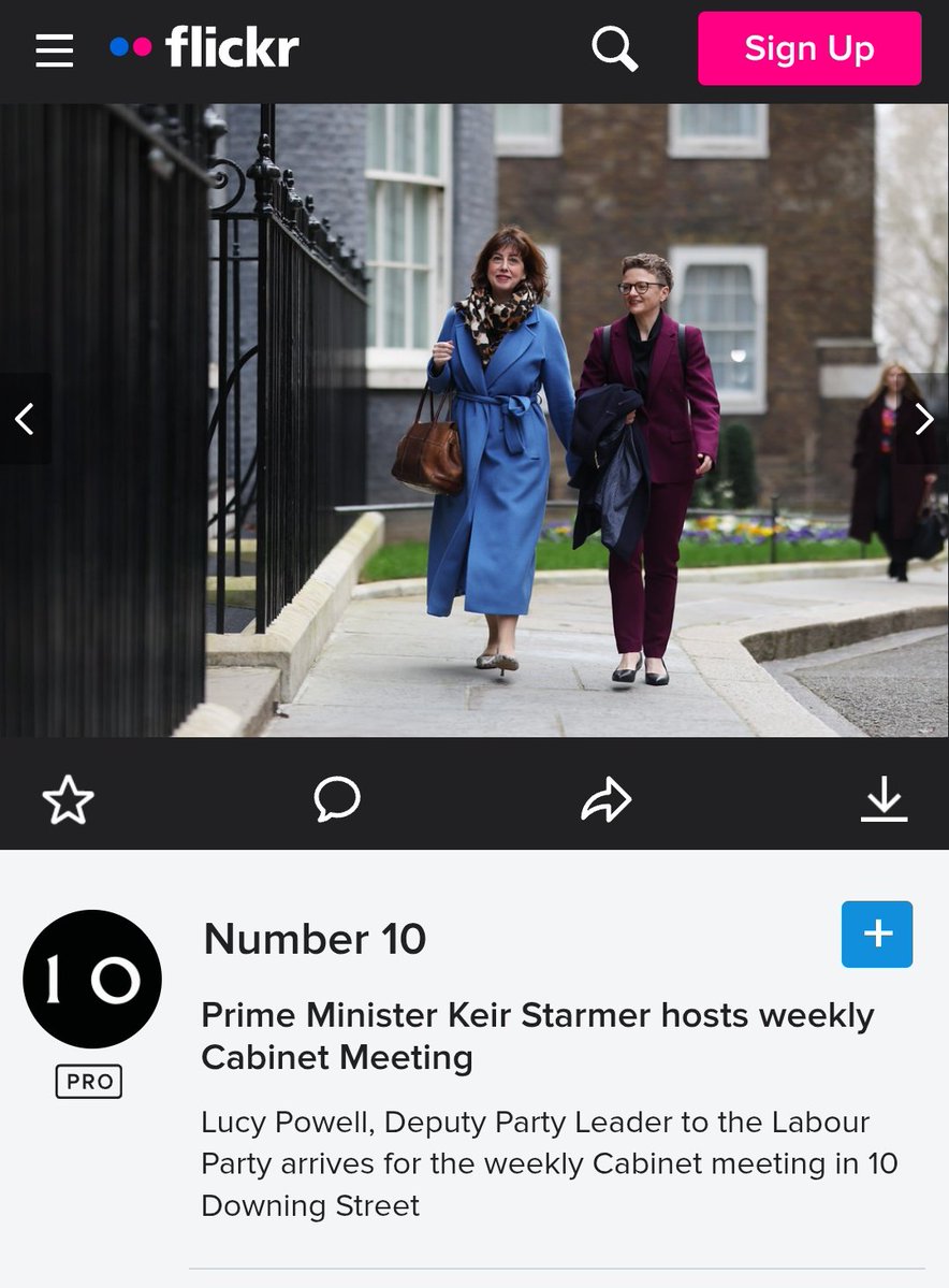 Jack Doyle tweet media