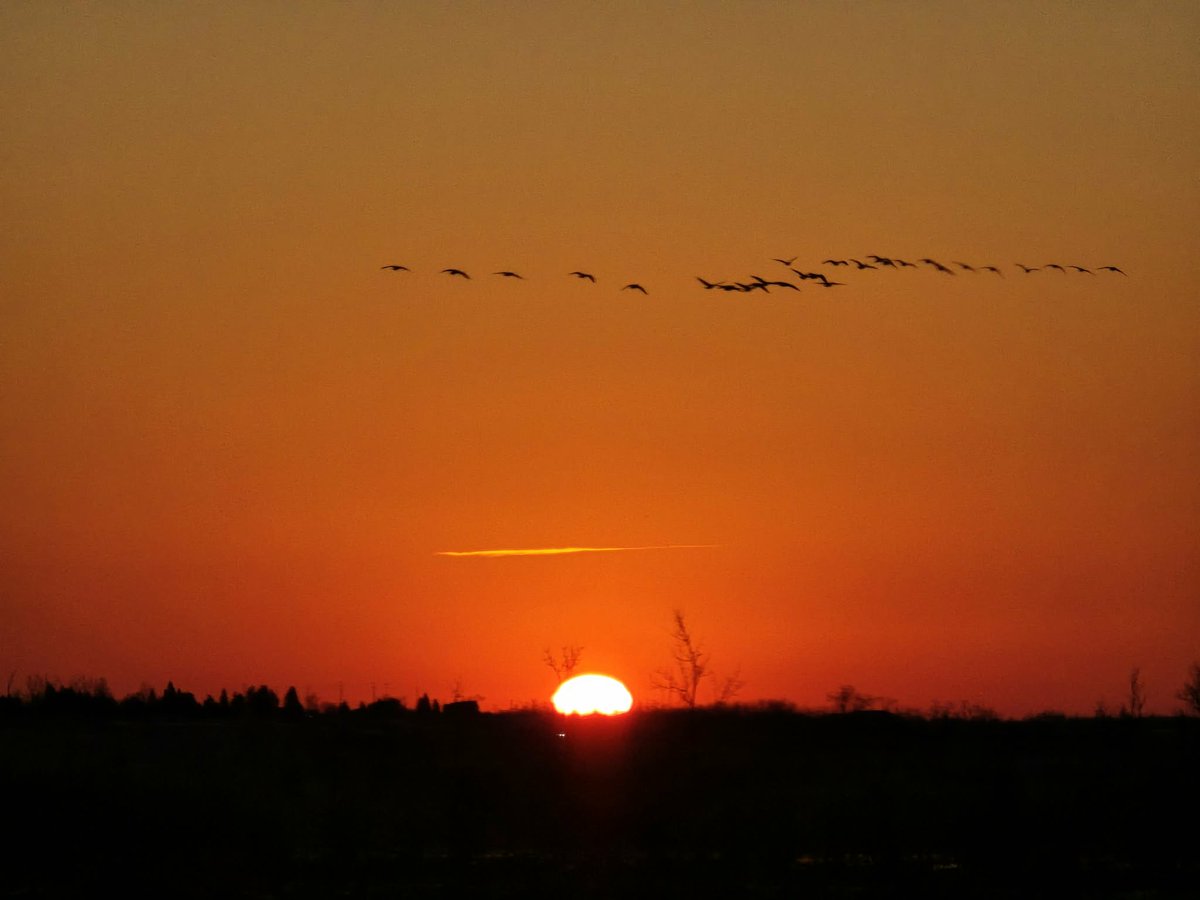 KawarthaConservation tweet media