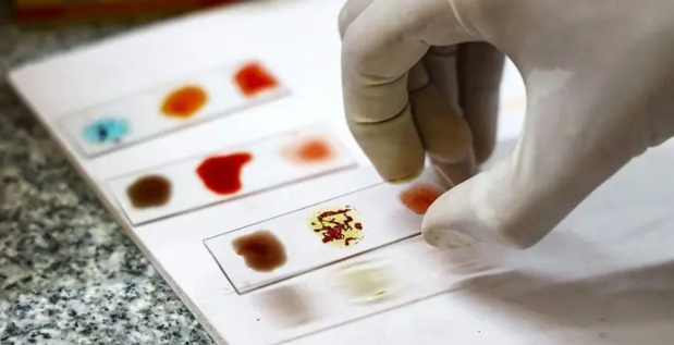 Centro Experimental Cyborg - UMH tweet media