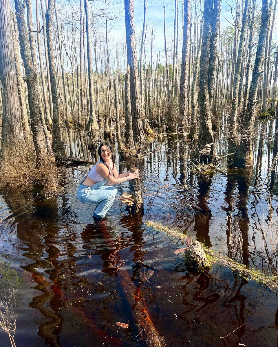 Raven Willow | Sensual Muse tweet media