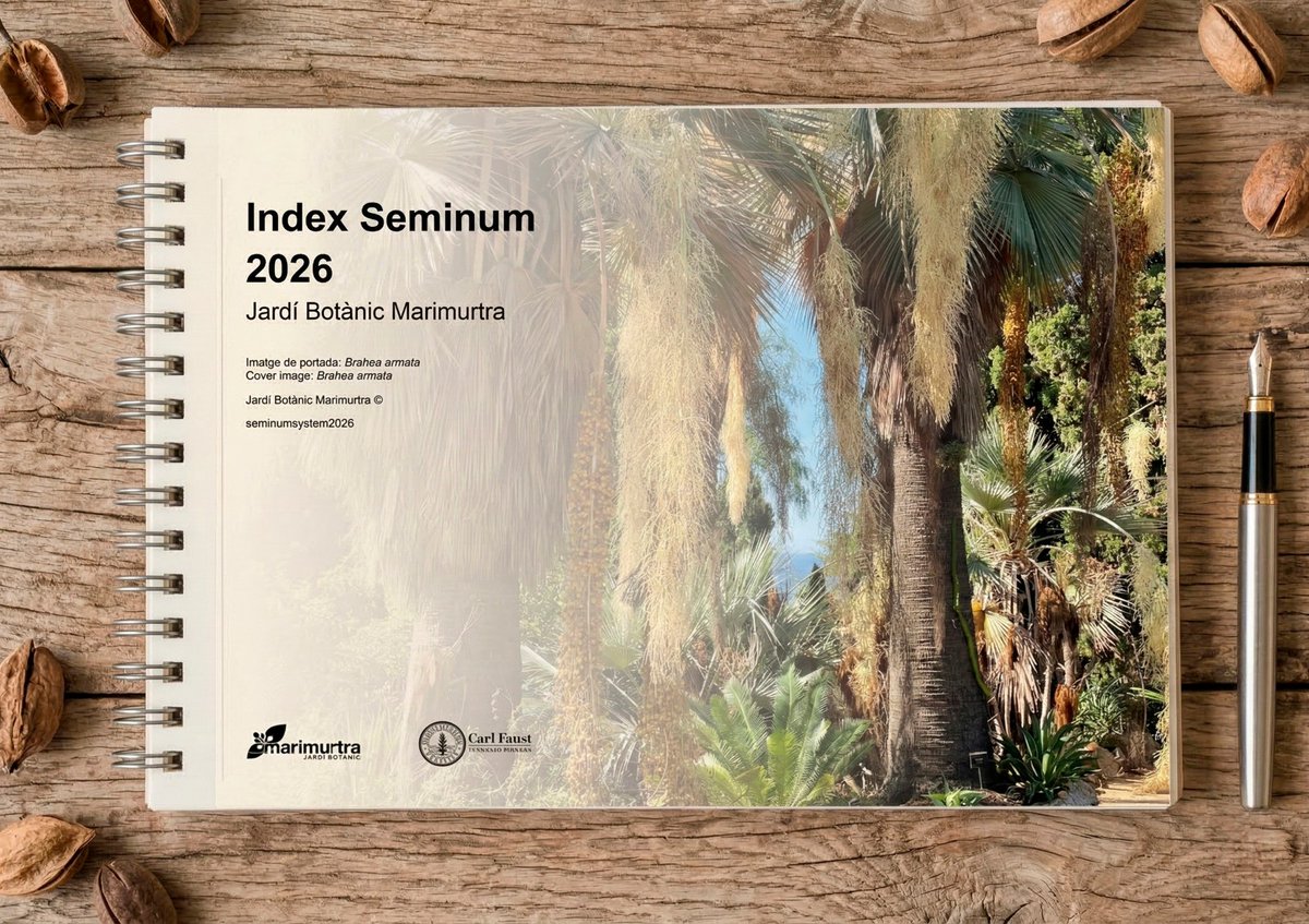 Jardí Botànic Marimurtra - Fundació Carl Faust tweet media