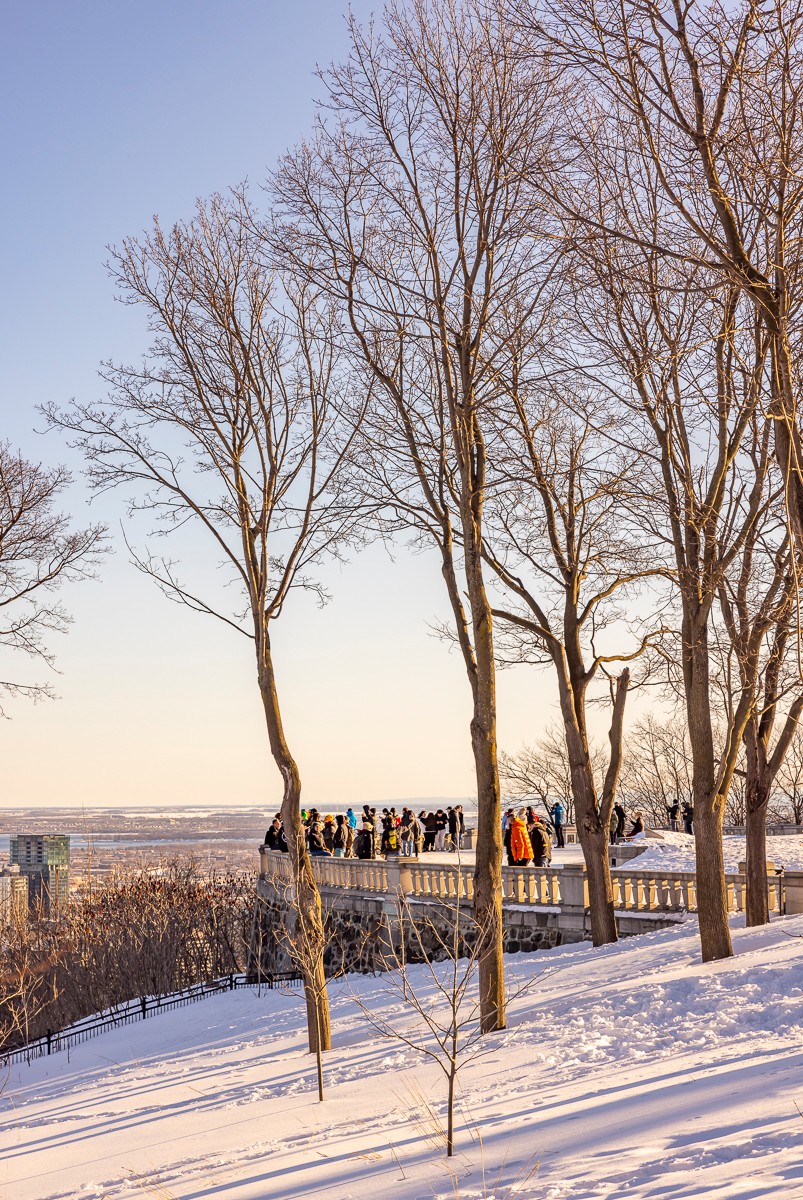 Mon Montréal tweet media