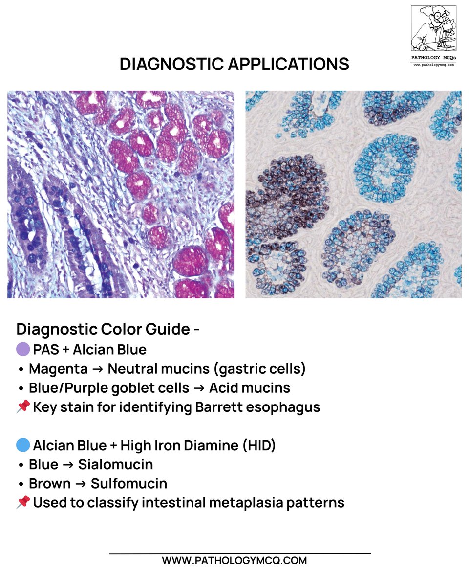 Pathology mcqs tweet media