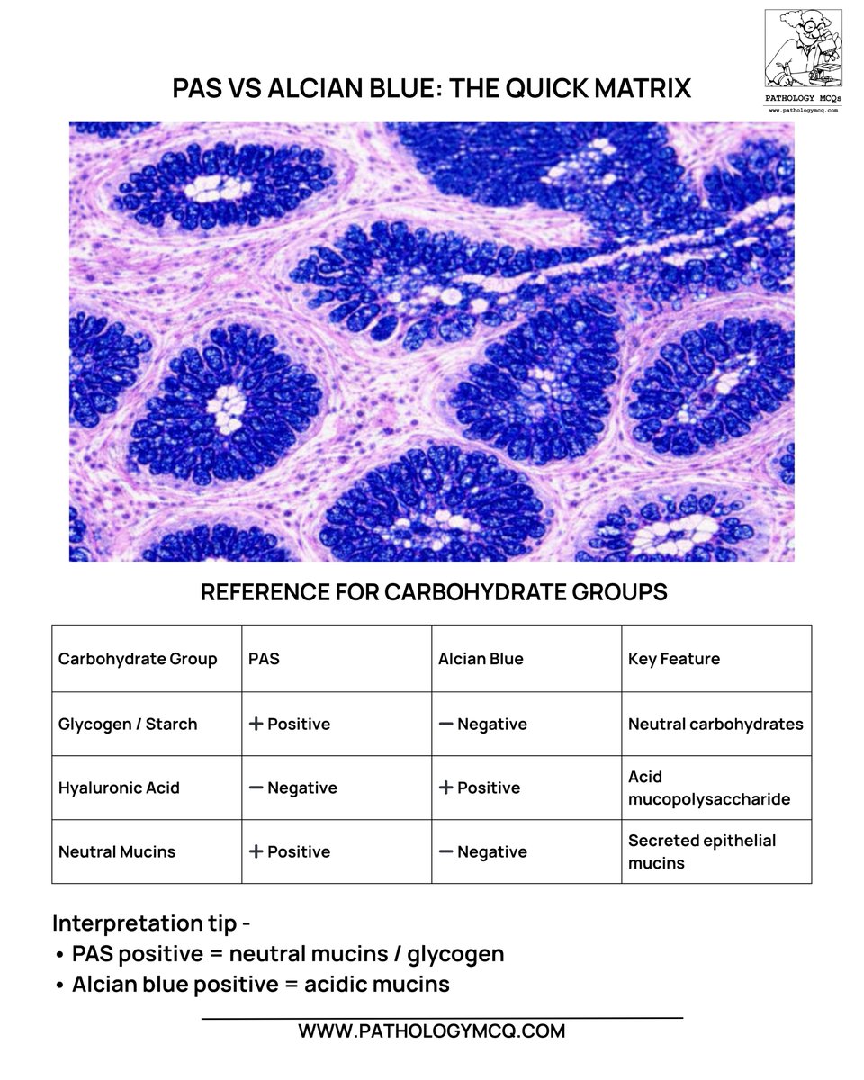Pathology mcqs tweet media