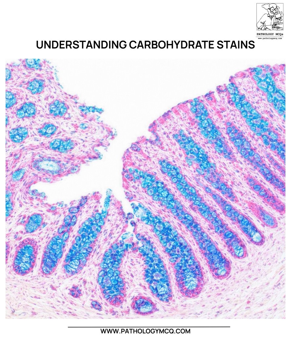 Pathology mcqs tweet media
