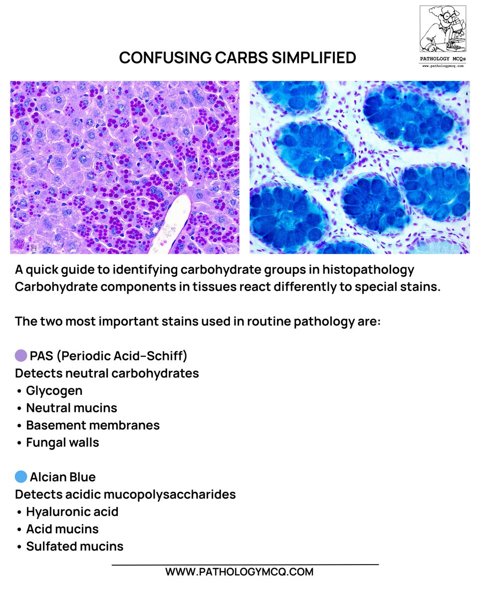 Pathology mcqs tweet media