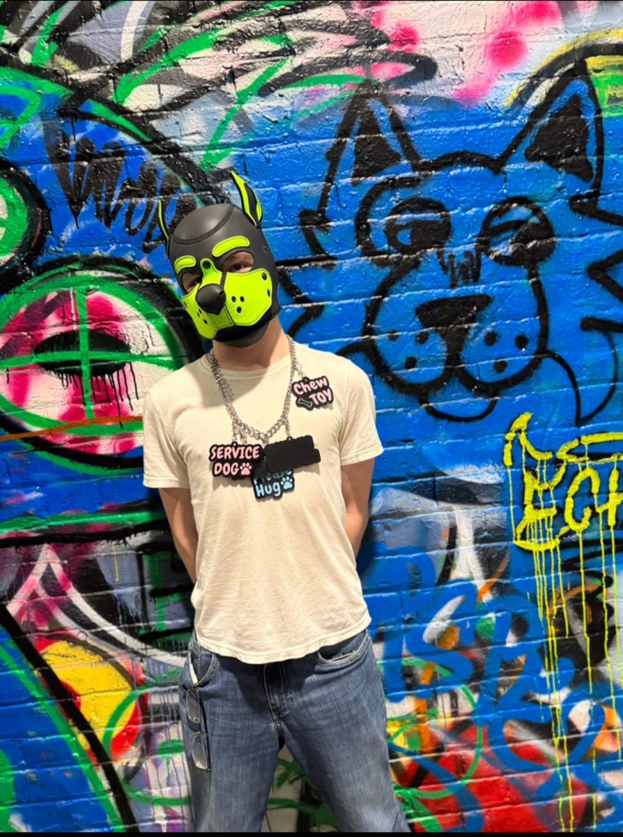 Da_GoldSprocket's tweet photo. This dog is in Graffiti Alley! Filled with many beautiful artworks, but, of course, fellow canine on da wall.

📷 @LuckieTora

#puphood #pupplay #graffitialley #pup #furry https://t.co/yR1A60TN2X