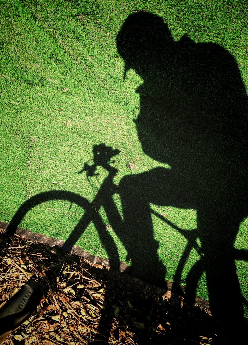 Brianne Campbell tweet media