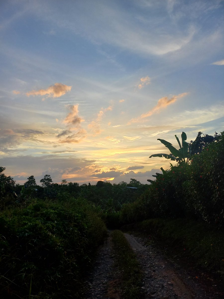 Chris Maximiliano 🇪🇨 tweet media