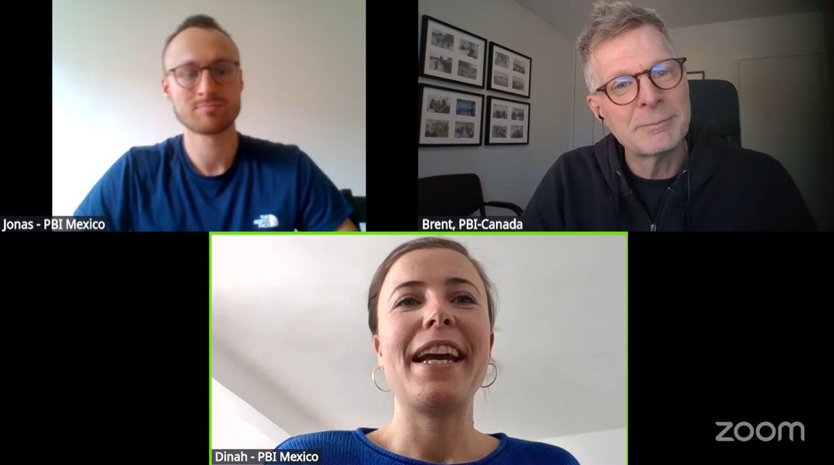 Peace Brigades International - Canada tweet media