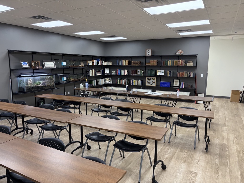 Insects Limited, Inc tweet media