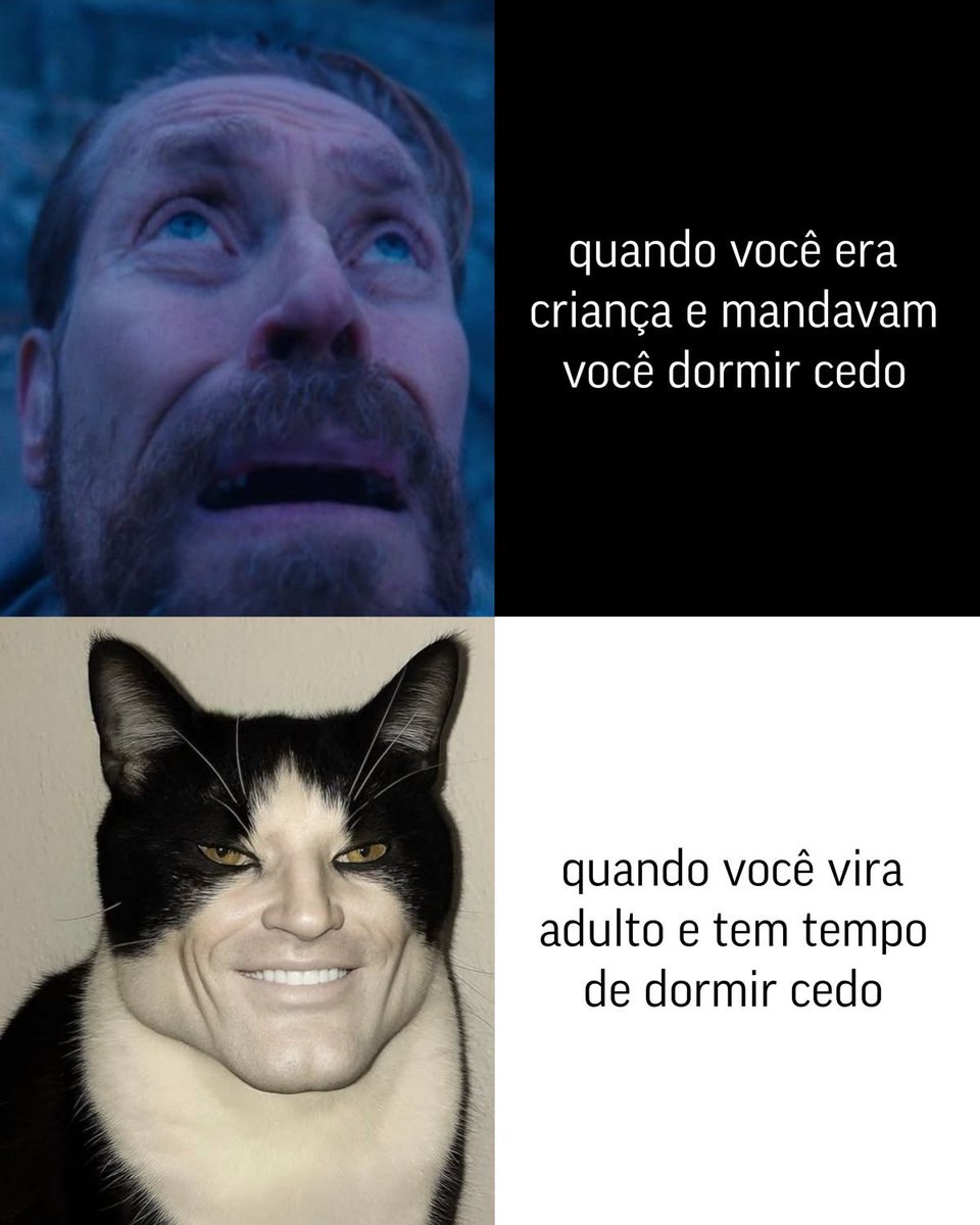 shitpostverdade's tweet photo. https://t.co/gIc5EKiahD
