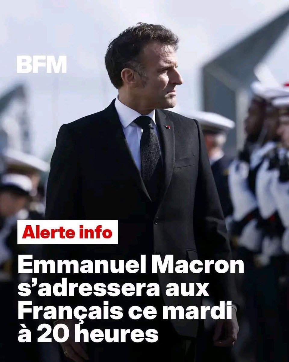 Fleur Morel tweet media