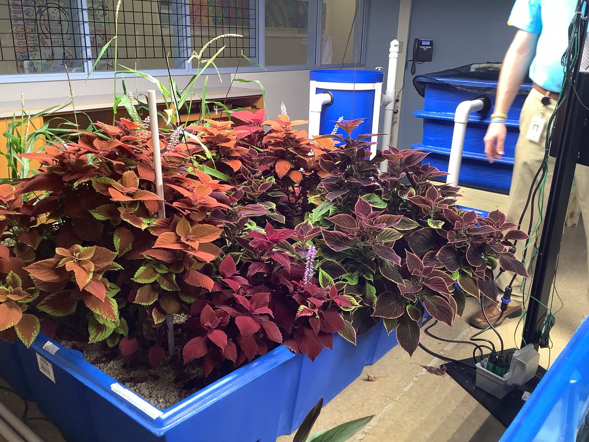 The High Post tweet media