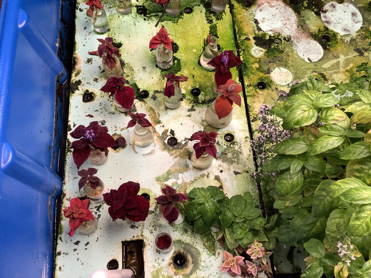 The High Post tweet media