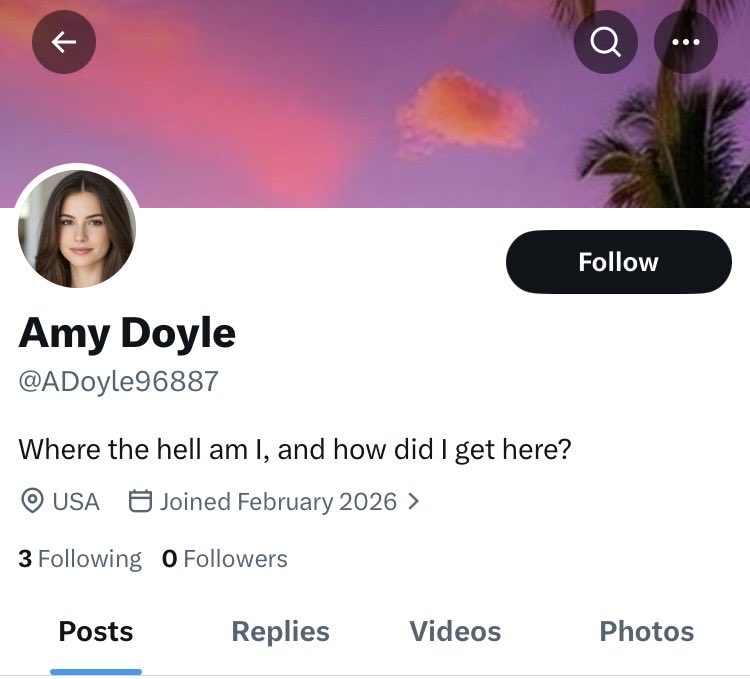 Cllr Sean Ferguson tweet media