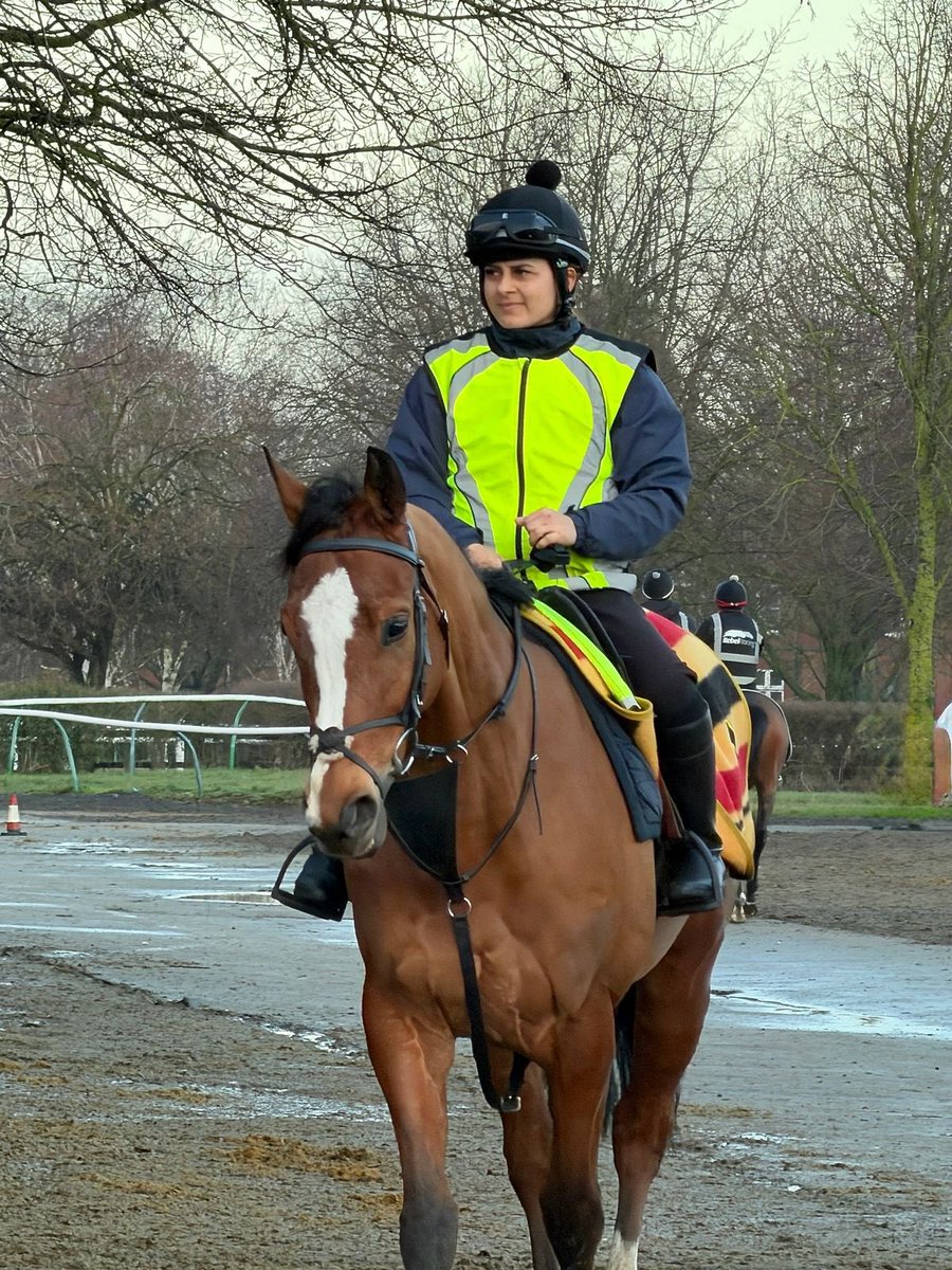 Crest Racing tweet media