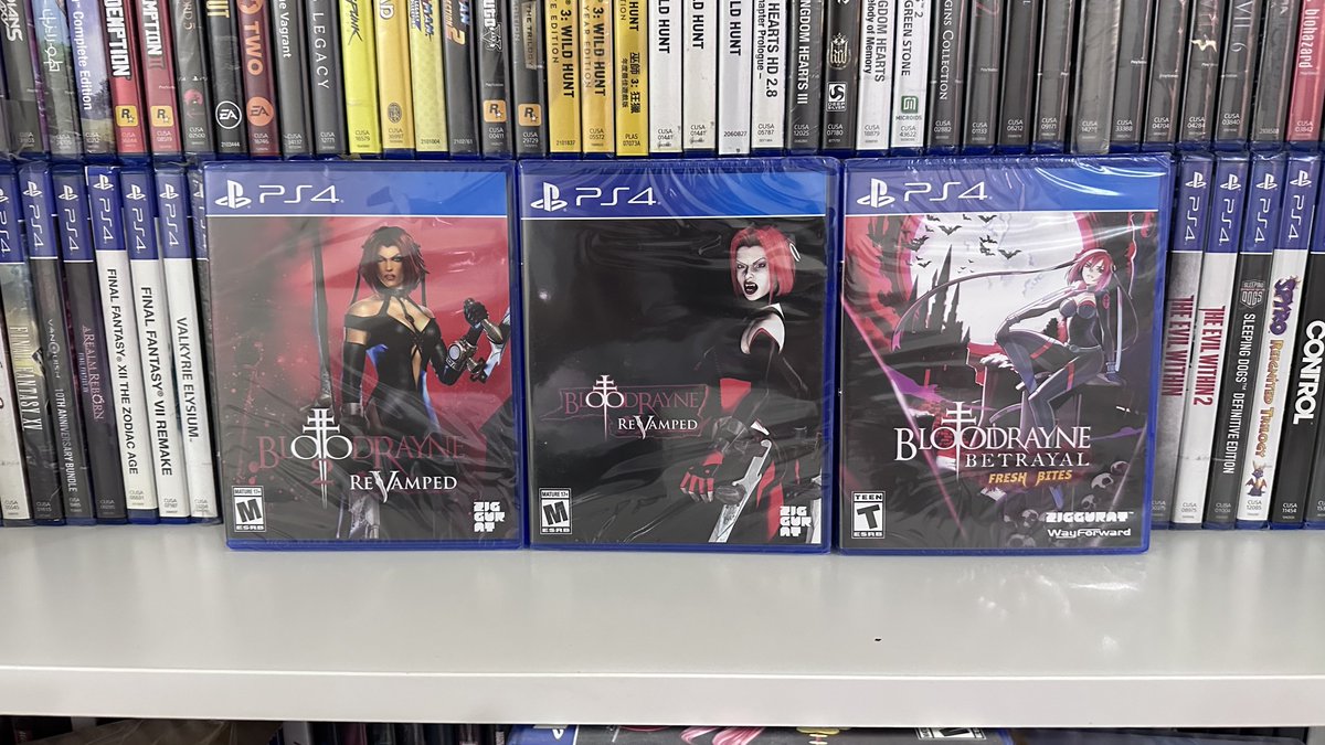 SHAMROKH tweet media