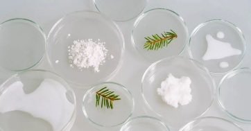 TFNBreakingNews's tweet image. 📈 Seprify has raised €13.4M in a Series A round. techfundingnews.com/seprify-13-4m-… led by Una Terra Early Growth Fund, with Inter IKEA Group, Zürcher Kantonalbank, Cambridge Enterprise Ventures, Kickfund, and a roster of circular-economy backers joining.
#eutech #foodtech #investment