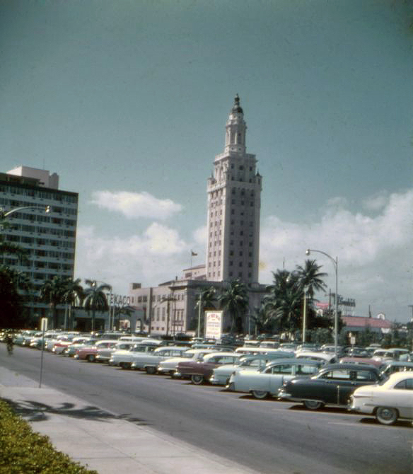 State Library of FL tweet media