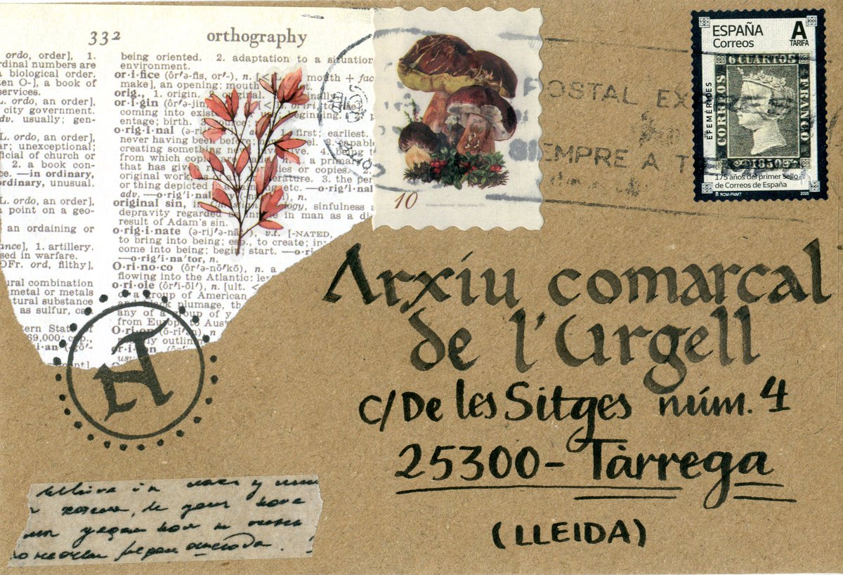 aclurgell tweet media