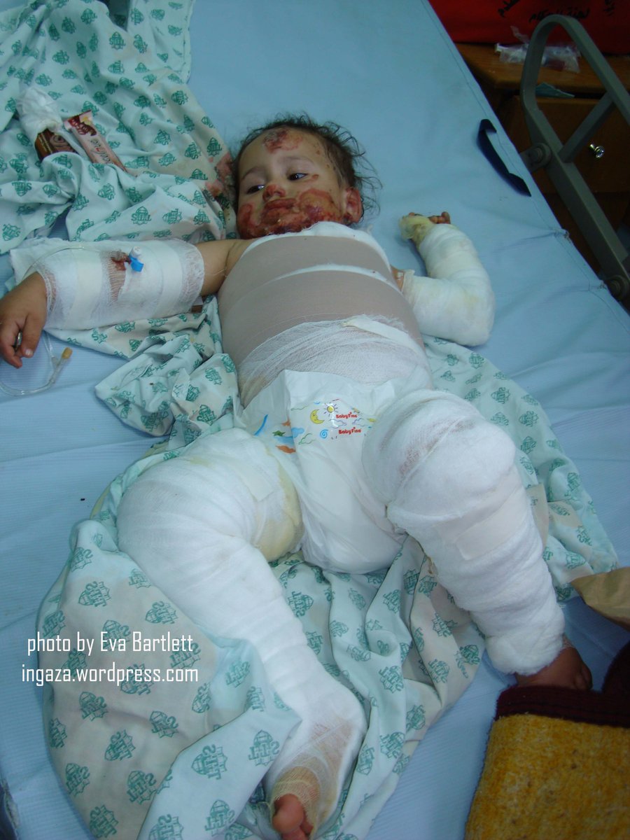 Eva Karene Bartlett tweet media