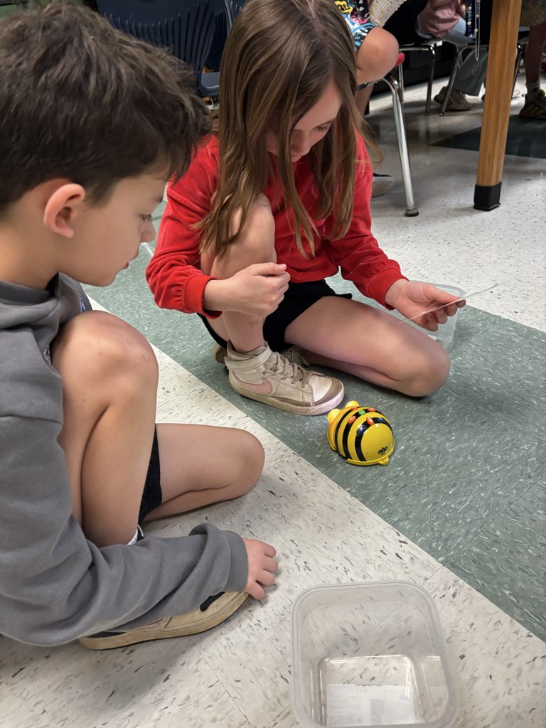 Alison Lieblich tweet media