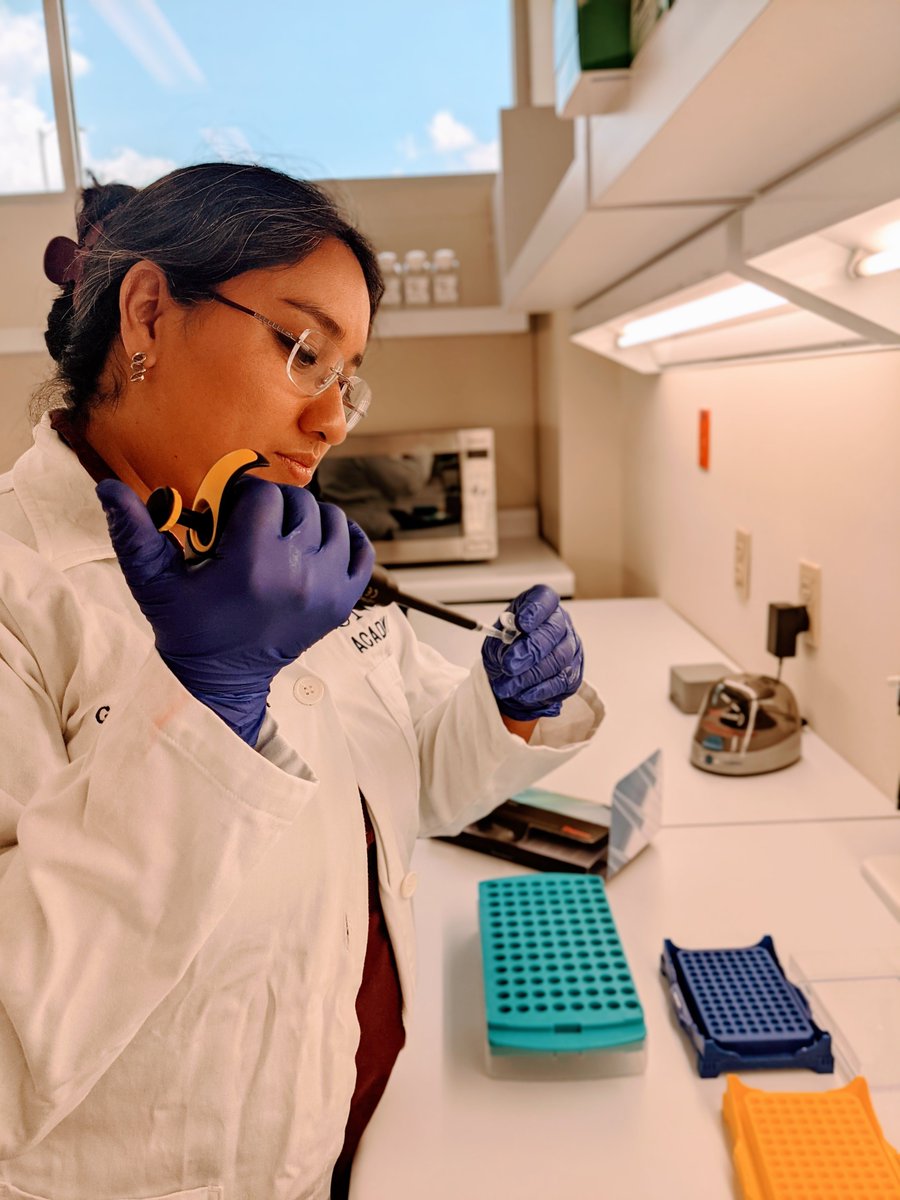 🚨: Human Papilloma Virus (HPV) can now be completely eliminated, thanks to Mexican researchers.