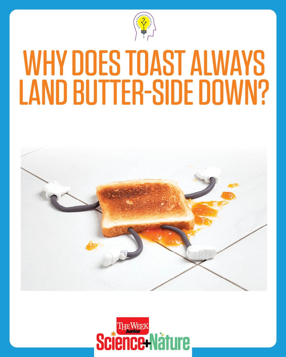 The Week Junior Science+Nature tweet media