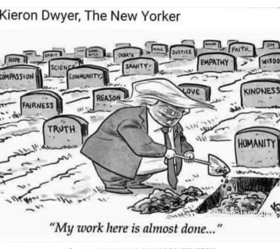 Myrti 📚🐳 tweet media