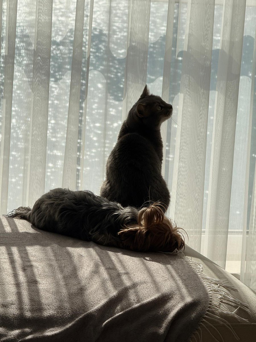 Хърбалета tweet media