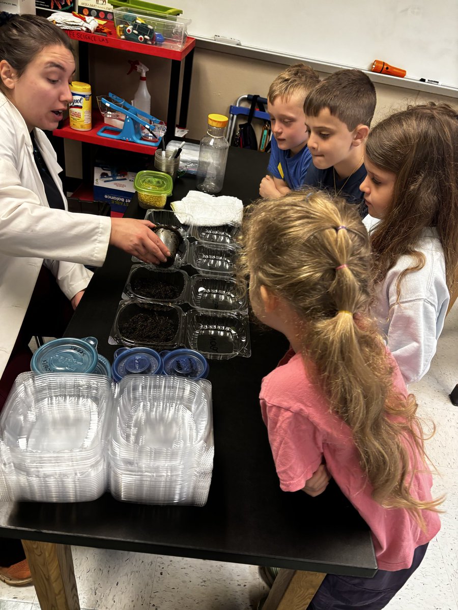 Alison Lieblich tweet media